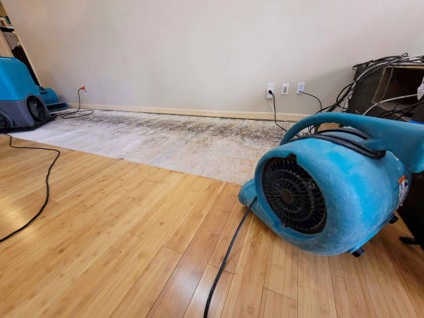 Professional Structural Drying technician working in Wheaton, MD